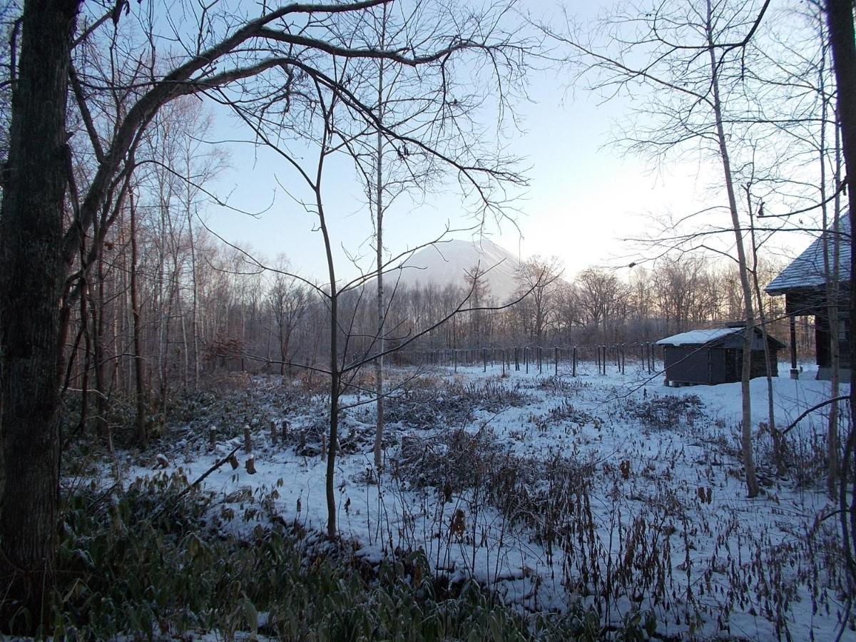 Niseko Shirokuma Cottage Εξωτερικό φωτογραφία